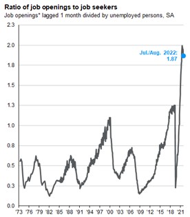 Job_Seekers